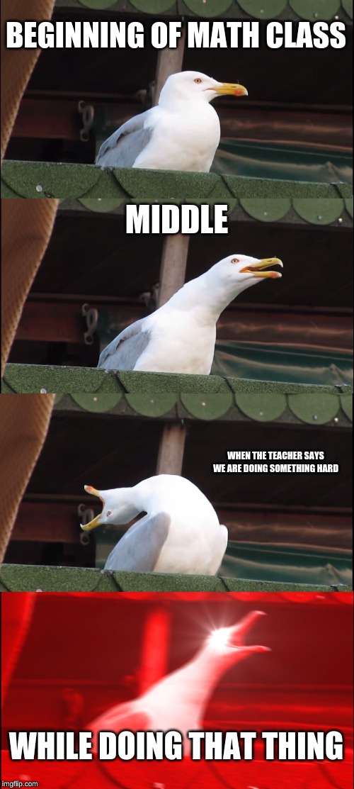 Inhaling Seagull | BEGINNING OF MATH CLASS; MIDDLE; WHEN THE TEACHER SAYS WE ARE DOING SOMETHING HARD; WHILE DOING THAT THING | image tagged in memes,inhaling seagull | made w/ Imgflip meme maker