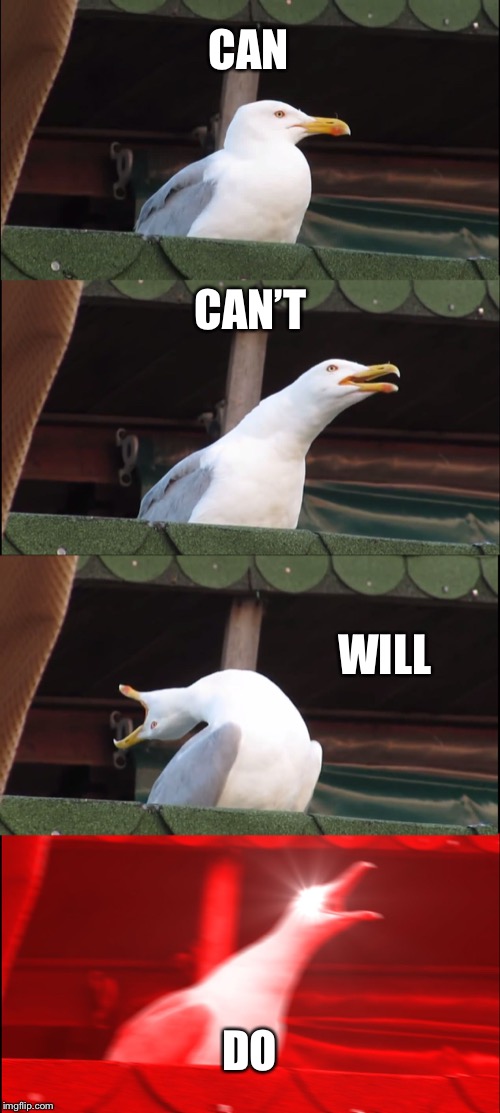 Inhaling Seagull Meme | CAN; CAN’T; WILL; DO | image tagged in memes,inhaling seagull | made w/ Imgflip meme maker