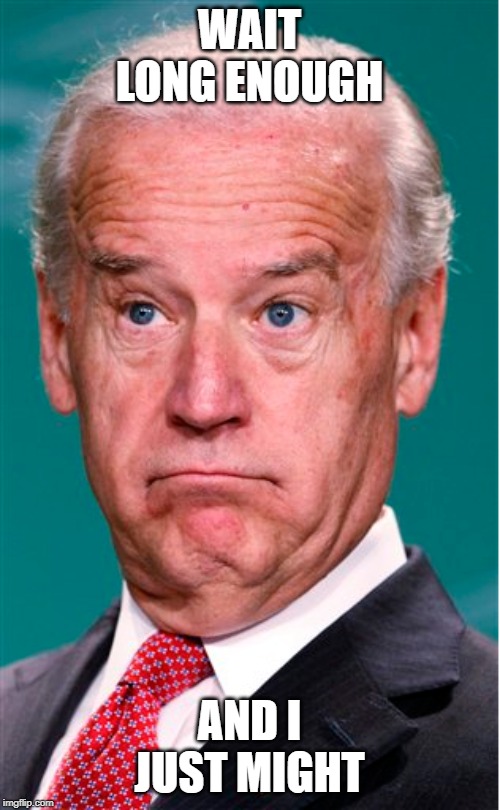 Joe Biden | WAIT LONG ENOUGH AND I JUST MIGHT | image tagged in joe biden | made w/ Imgflip meme maker