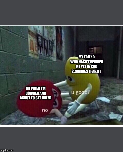 U Good No | MY FRIEND WHO HASN’T REVIVED ME YET IN COD 2 ZOMBIES TRANZIT; ME WHEN I’M DOWNED AND ABOUT TO GET OOFED | image tagged in u good no | made w/ Imgflip meme maker
