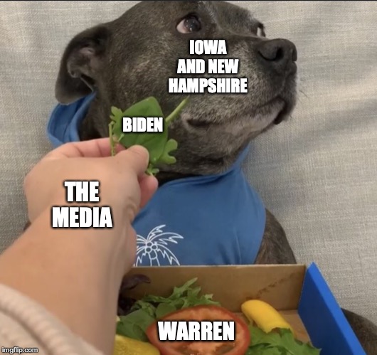 IOWA AND NEW HAMPSHIRE; BIDEN; THE MEDIA; WARREN | image tagged in dog,Conservative | made w/ Imgflip meme maker