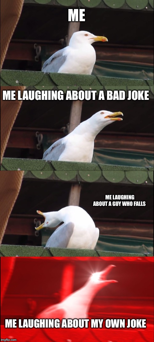 Inhaling Seagull | ME; ME LAUGHING ABOUT A BAD JOKE; ME LAUGHING ABOUT A GUY WHO FALLS; ME LAUGHING ABOUT MY OWN JOKE | image tagged in memes,inhaling seagull | made w/ Imgflip meme maker