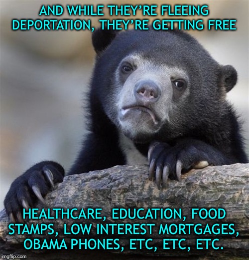 Confession Bear Meme | AND WHILE THEY’RE FLEEING DEPORTATION, THEY’RE GETTING FREE HEALTHCARE, EDUCATION, FOOD STAMPS, LOW INTEREST MORTGAGES, OBAMA PHONES, ETC, E | image tagged in memes,confession bear | made w/ Imgflip meme maker