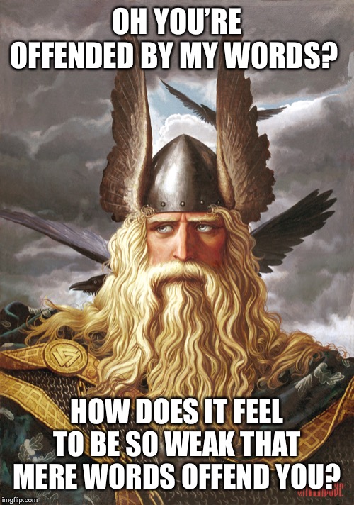 odin | OH YOU’RE OFFENDED BY MY WORDS? HOW DOES IT FEEL TO BE SO WEAK THAT MERE WORDS OFFEND YOU? | image tagged in odin | made w/ Imgflip meme maker