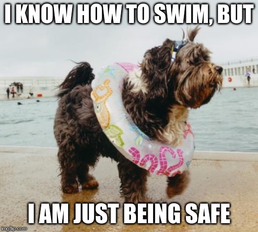 I KNOW HOW TO SWIM, BUT; I AM JUST BEING SAFE | image tagged in grumpy cat | made w/ Imgflip meme maker