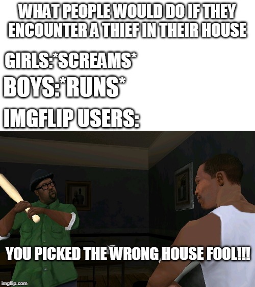 WHAT PEOPLE WOULD DO IF THEY ENCOUNTER A THIEF IN THEIR HOUSE; GIRLS:*SCREAMS*; BOYS:*RUNS*; IMGFLIP USERS:; YOU PICKED THE WRONG HOUSE FOOL!!! | image tagged in blank white template | made w/ Imgflip meme maker