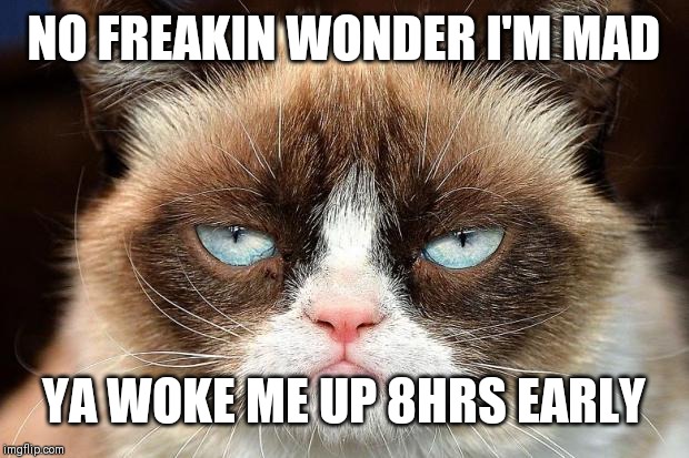 Grumpy Cat Not Amused | NO FREAKIN WONDER I'M MAD; YA WOKE ME UP 8HRS EARLY | image tagged in memes,grumpy cat not amused,grumpy cat | made w/ Imgflip meme maker