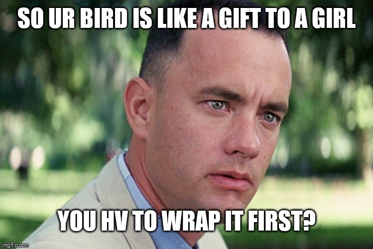 And Just Like That Meme | SO UR BIRD IS LIKE A GIFT TO A GIRL; YOU HV TO WRAP IT FIRST? | image tagged in memes,and just like that | made w/ Imgflip meme maker