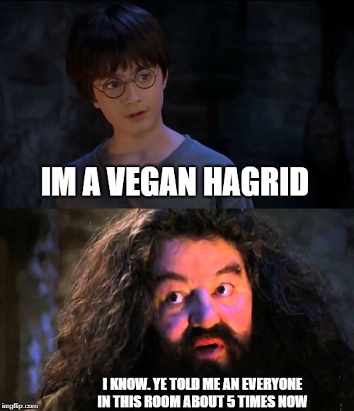 If a vegan is alone in the woods the trees know by now they are a vegan | IM A VEGAN HAGRID; I KNOW. YE TOLD ME AN EVERYONE IN THIS ROOM ABOUT 5 TIMES NOW | image tagged in you're a wizard harry,funny,vegan,veganism | made w/ Imgflip meme maker