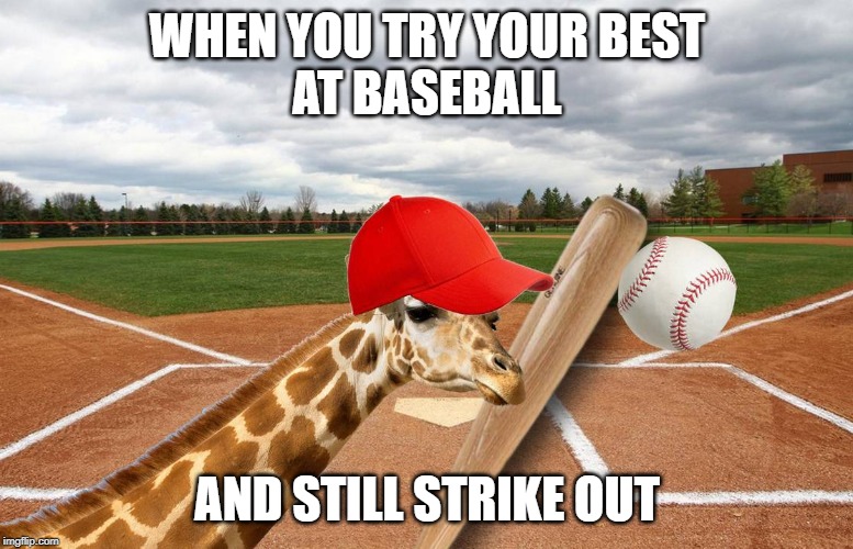 Baseball Giraffe | WHEN YOU TRY YOUR BEST
AT BASEBALL; AND STILL STRIKE OUT | image tagged in giraffe,baseball,fail | made w/ Imgflip meme maker