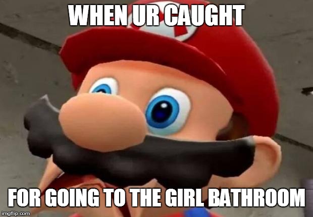 Mario WTF | WHEN UR CAUGHT; FOR GOING TO THE GIRL BATHROOM | image tagged in mario wtf | made w/ Imgflip meme maker