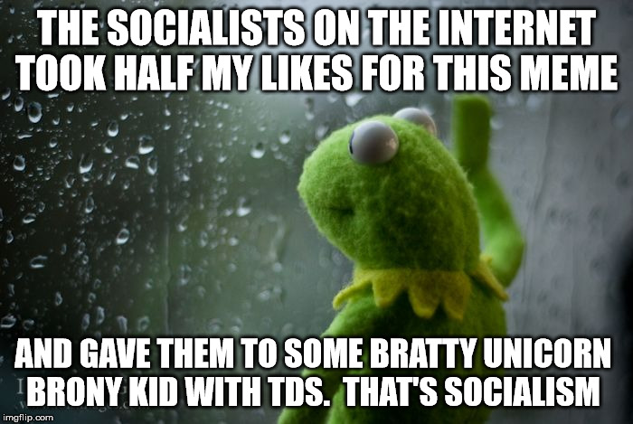 kermit window | THE SOCIALISTS ON THE INTERNET TOOK HALF MY LIKES FOR THIS MEME; AND GAVE THEM TO SOME BRATTY UNICORN BRONY KID WITH TDS.  THAT'S SOCIALISM | image tagged in kermit window | made w/ Imgflip meme maker