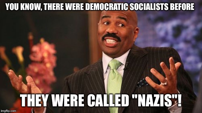 Steve Harvey | YOU KNOW, THERE WERE DEMOCRATIC SOCIALISTS BEFORE; THEY WERE CALLED "NAZIS"! | image tagged in memes,steve harvey | made w/ Imgflip meme maker