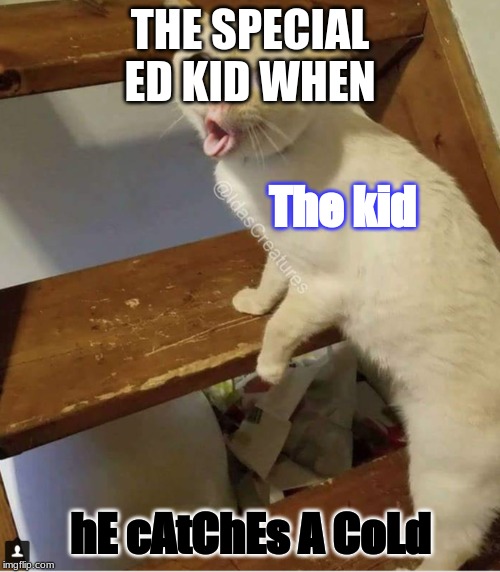 coughing cat | THE SPECIAL ED KID WHEN; The kid; hE cAtChEs A CoLd | image tagged in coughing cat | made w/ Imgflip meme maker