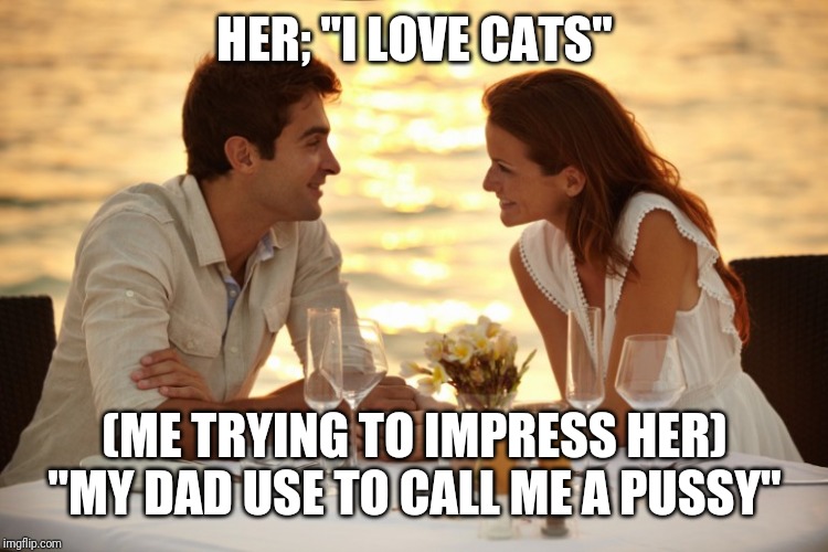 Trying to Impress her | HER; "I LOVE CATS"; (ME TRYING TO IMPRESS HER) "MY DAD USE TO CALL ME A PUSSY" | image tagged in trying to impress her | made w/ Imgflip meme maker