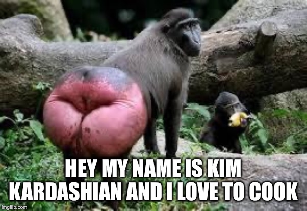 Kim Kardashian's new butt selfie | HEY MY NAME IS KIM KARDASHIAN AND I LOVE TO COOK | image tagged in kim kardashian's new butt selfie | made w/ Imgflip meme maker