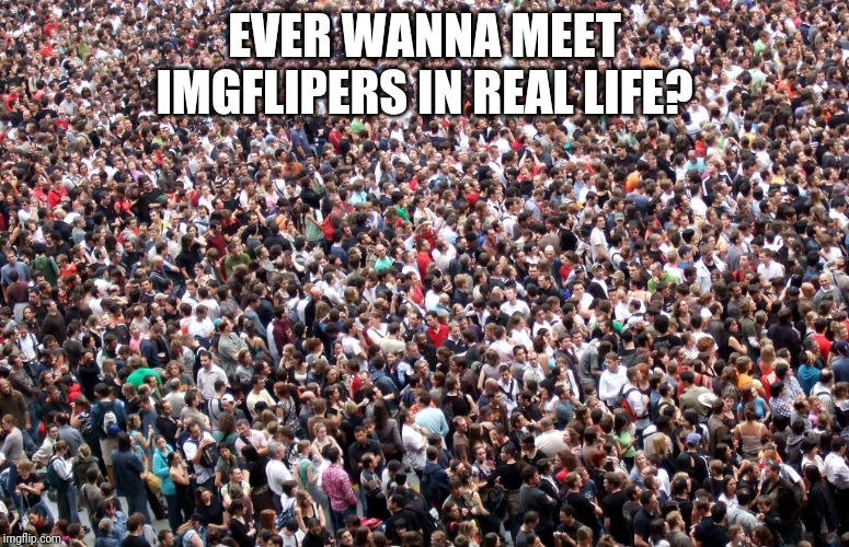 crowd of people | EVER WANNA MEET IMGFLIPERS IN REAL LIFE? | image tagged in crowd of people | made w/ Imgflip meme maker