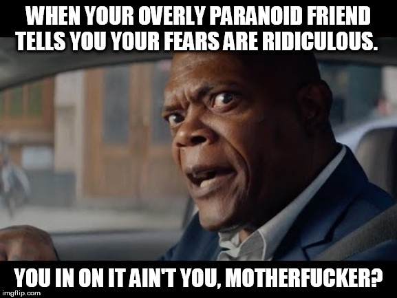 Conspiracy Theories | WHEN YOUR OVERLY PARANOID FRIEND TELLS YOU YOUR FEARS ARE RIDICULOUS. YOU IN ON IT AIN'T YOU, MOTHERFUCKER? | image tagged in computer,conspiracy,hacking,motherfucker,samuel jackson glance | made w/ Imgflip meme maker