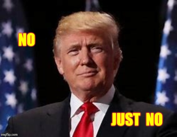 Career Criminal | NO; JUST  NO | image tagged in memes,trump unfit unqualified dangerous,liar in chief,petty,worthless,lock him up | made w/ Imgflip meme maker