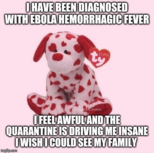 h | I HAVE BEEN DIAGNOSED WITH EBOLA HEMORRHAGIC FEVER; I FEEL AWFUL AND THE QUARANTINE IS DRIVING ME INSANE I WISH I COULD SEE MY FAMILY | image tagged in ebola | made w/ Imgflip meme maker