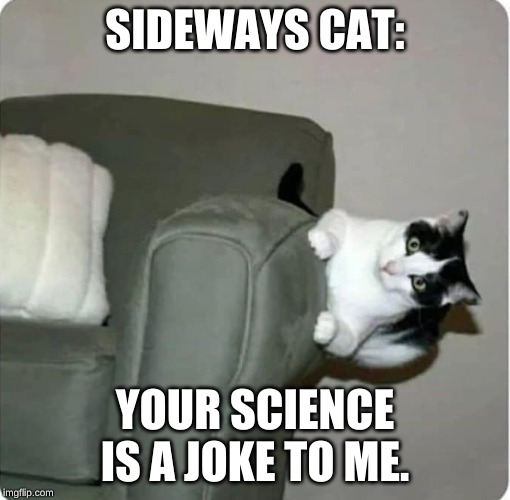 Sideways Cat | SIDEWAYS CAT:; YOUR SCIENCE IS A JOKE TO ME. | image tagged in sideways cat | made w/ Imgflip meme maker