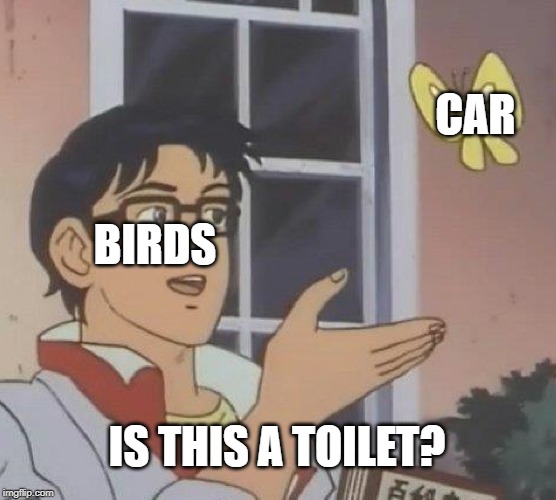 Is This A Pigeon | CAR; BIRDS; IS THIS A TOILET? | image tagged in memes,is this a pigeon | made w/ Imgflip meme maker
