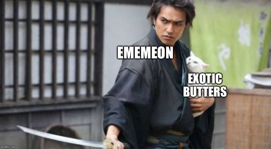 Samurai protecting cat | EMEMEON; EXOTIC BUTTERS | image tagged in ememeon,exotic butters,samurai,cats,are you still reading | made w/ Imgflip meme maker