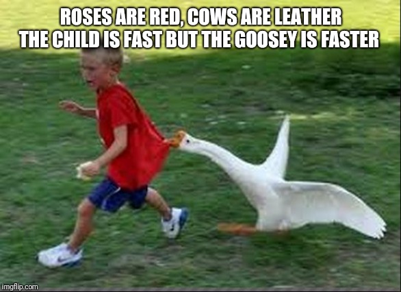 goose chase | ROSES ARE RED, COWS ARE LEATHER THE CHILD IS FAST BUT THE GOOSEY IS FASTER | image tagged in goose chase | made w/ Imgflip meme maker