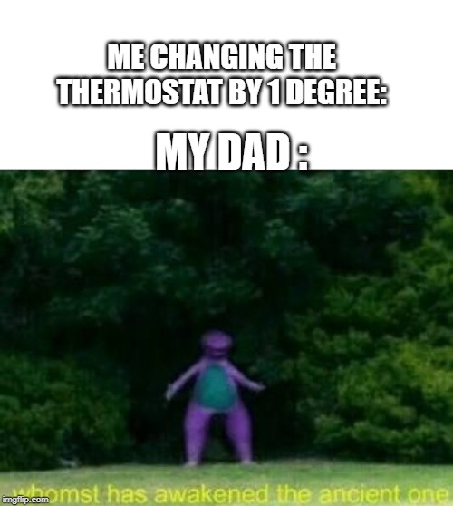 Whomst has awakened the ancient one | ME CHANGING THE THERMOSTAT BY 1 DEGREE:; MY DAD : | image tagged in whomst has awakened the ancient one | made w/ Imgflip meme maker