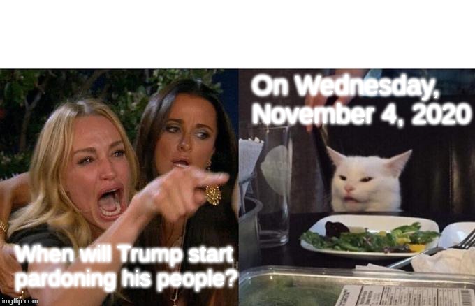 Woman Yelling At Cat | On Wednesday, 
November 4, 2020; When will Trump start
pardoning his people? | image tagged in memes,woman yelling at cat | made w/ Imgflip meme maker