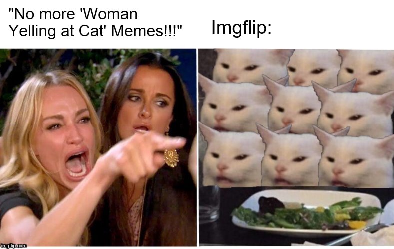 Woman Yelling at Many Cats | Imgflip:; "No more 'Woman Yelling at Cat' Memes!!!" | image tagged in woman yelling at cat,imgflip,memes,funny | made w/ Imgflip meme maker