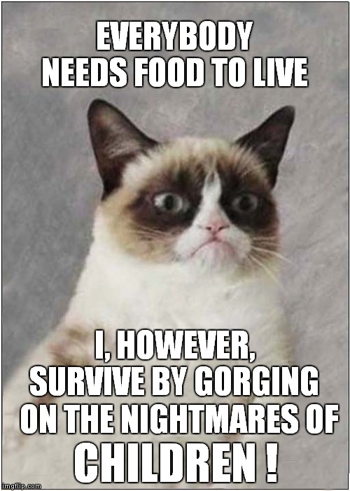 Grumpys Tasty Nigjhtmares ! | EVERYBODY NEEDS FOOD TO LIVE; I, HOWEVER, SURVIVE BY GORGING; ON THE NIGHTMARES OF; CHILDREN ! | image tagged in fun,grumpy cat,nightmares | made w/ Imgflip meme maker