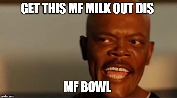 Snakes on the Plane Samuel L Jackson | GET THIS MF MILK OUT DIS MF BOWL | image tagged in snakes on the plane samuel l jackson | made w/ Imgflip meme maker