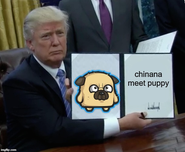 Trump Bill Signing Meme | chinana  meet puppy | image tagged in memes,trump bill signing | made w/ Imgflip meme maker
