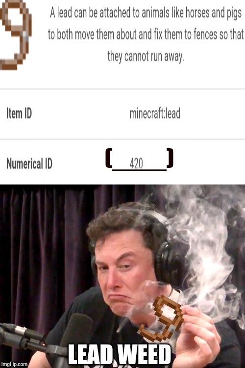 Elon Musk Weed | (____); LEAD WEED | image tagged in elon musk weed | made w/ Imgflip meme maker