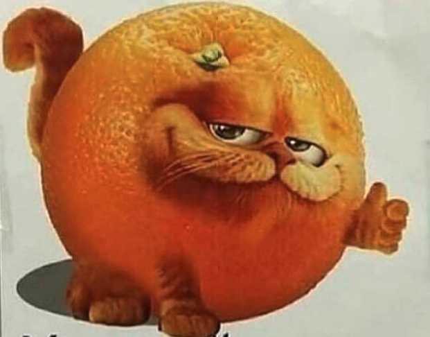 garfield orange Blank Meme Template
