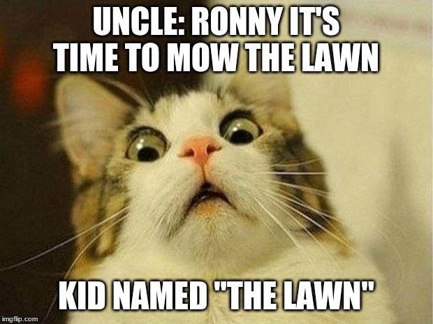 Scared Cat Meme | UNCLE: RONNY IT'S TIME TO MOW THE LAWN; KID NAMED "THE LAWN" | image tagged in memes,scared cat | made w/ Imgflip meme maker