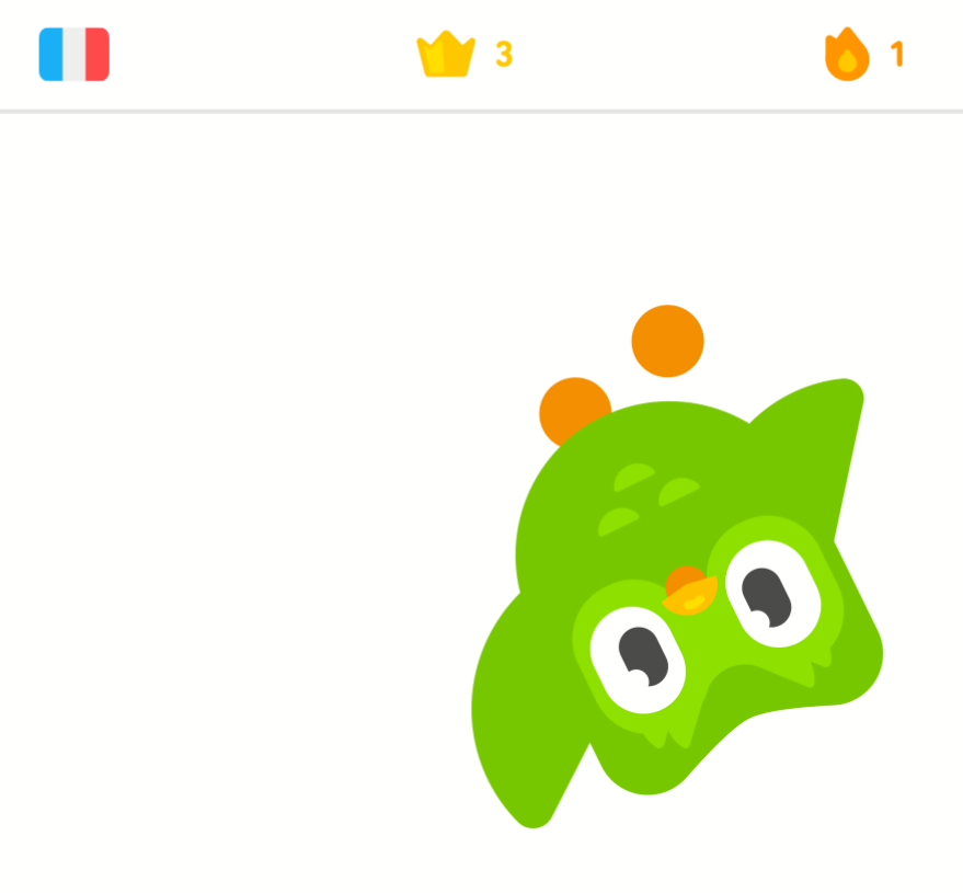 High Quality Duolingo bird is watching Blank Meme Template