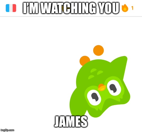 Duolingo bird is watching | I’M WATCHING YOU; JAMES | image tagged in duolingo bird is watching | made w/ Imgflip meme maker