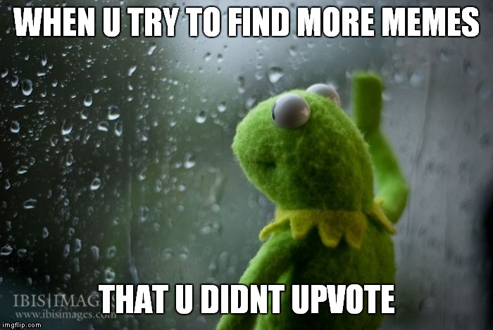 kermit window | WHEN U TRY TO FIND MORE MEMES; THAT U DIDNT UPVOTE | image tagged in kermit window | made w/ Imgflip meme maker
