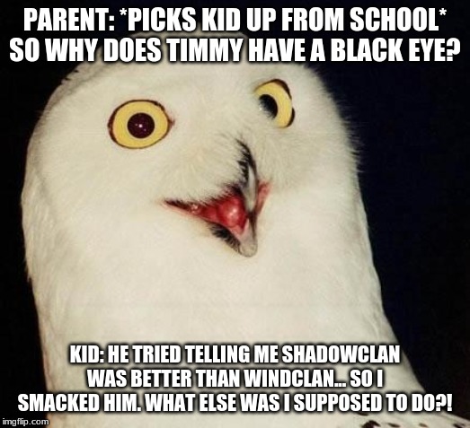 O RLY? | PARENT: *PICKS KID UP FROM SCHOOL* SO WHY DOES TIMMY HAVE A BLACK EYE? KID: HE TRIED TELLING ME SHADOWCLAN WAS BETTER THAN WINDCLAN... SO I SMACKED HIM. WHAT ELSE WAS I SUPPOSED TO DO?! | image tagged in o rly | made w/ Imgflip meme maker