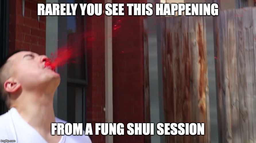 Spitting out Food | RARELY YOU SEE THIS HAPPENING; FROM A FUNG SHUI SESSION | image tagged in fung shui,memes,youtube,mychonny | made w/ Imgflip meme maker