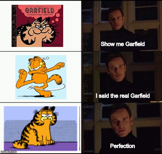 show me the real | Show me Garfield; I said the real Garfield; Perfection | image tagged in show me the real | made w/ Imgflip meme maker