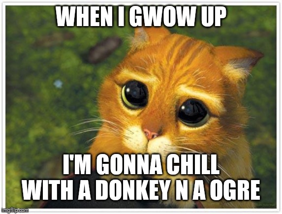 Shrek Cat | WHEN I GWOW UP; I'M GONNA CHILL WITH A DONKEY N A OGRE | image tagged in memes,shrek cat | made w/ Imgflip meme maker
