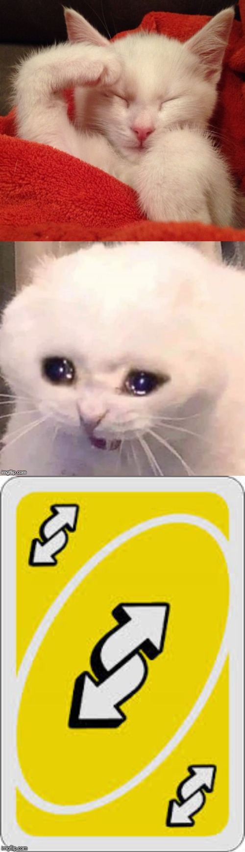 image tagged in uno reverse card,crying salute cat | made w/ Imgflip meme maker