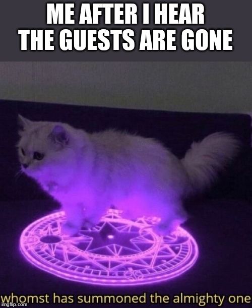 Whomst has summoned the almighty one | ME AFTER I HEAR THE GUESTS ARE GONE | image tagged in whomst has summoned the almighty one,memes | made w/ Imgflip meme maker