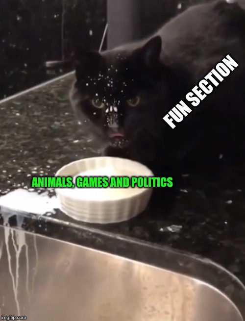 FUN SECTION ANIMALS, GAMES AND POLITICS | made w/ Imgflip meme maker