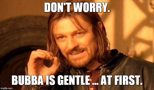 One Does Not Simply Meme | DON'T WORRY. BUBBA IS GENTLE … AT FIRST. | image tagged in memes,one does not simply | made w/ Imgflip meme maker