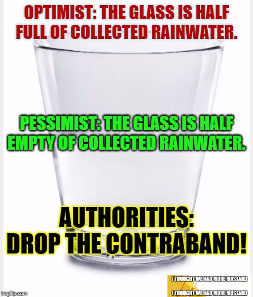 Rainwater | OPTIMIST: THE GLASS IS HALF FULL OF COLLECTED RAINWATER. PESSIMIST: THE GLASS IS HALF EMPTY OF COLLECTED RAINWATER. AUTHORITIES: DROP THE CONTRABAND! | image tagged in glass of water,rainwater,water,glass | made w/ Imgflip meme maker