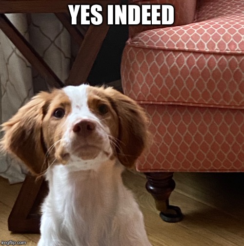 YES INDEED | made w/ Imgflip meme maker